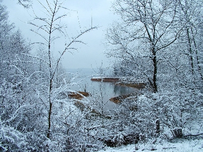 Nauji 2009